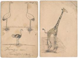 2 db régi hosszú címzéses kézzel rajzolt állatos képeslap: zsiráf és strucc, Kerékffy G. szignóval / 2 pre-1910 hand-drawn animal postcards: giraffe and ostrich