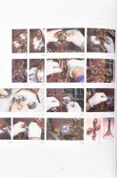 Ötvös Nagy Ferenc: Így készült... Bp., 2017, Scolar, 251 p. Kiadói kartonált papírkötés