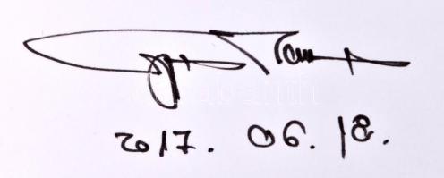 Gyurkovics Tamás: Mengele bőröndje. Josef M. két halála. Regény. A szerző által ALÁÍRT példány! Bp.,...