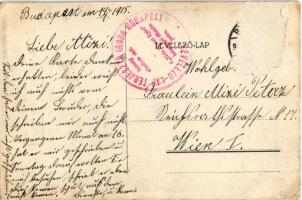 1915 Királyért és Hazáért! A Vörös Kereszt Egylet dunaparti betegnyugvó állomásának tulajdona / WWI ...