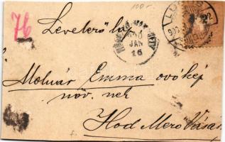 1900 Lugos, Lugoj; vasútállomás / railway station (vágott / cut)