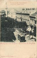Sofia with tram