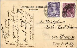 S. M. Torpedoboots-Division in voller Fahrt: Torpedoboot Krokodil, Streiter, Ulan. K.u.K. Kriegsmari...