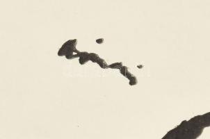 Rippl-Rónai József (1861-1927): Éhes kutyák. Cinkográfia, papír, jelzett a cinkográfián, paszpartuba...