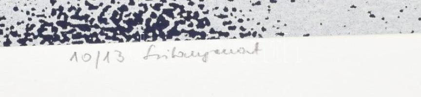 Haász Ágnes (1951-): Lépcső-ház, 2012. Szitanyomat, papír. Jelzett. Számozott: 10/13. Hátoldalán a m...