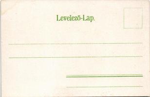 Trencsénteplic, Trencianske Teplice; Gyógyterem, fürdő, térkép. Wertheim Zsigmond kiadása / spa, bat...