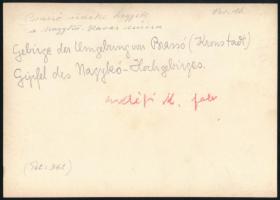 cca 1910 Brassó környéki hegyek, Erdélyi Mór (1866-1934) felvétele, hátulján feliratozva, 11,5×16 cm...