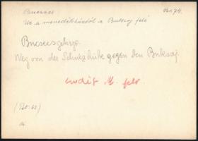 cca 1910 Bucsecs-hegység, Erdélyi Mór (1866-1934) felvétele, hátulján feliratozva, 11,5×16 cm / Munt...