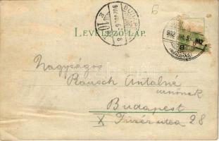 1902 Herkulesfürdő, Baile Herculane; Kérem világítás felé tartani / Meteor No. 489. hold to light li...