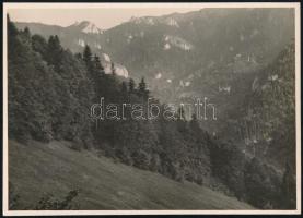 cca 1910 Nagykőhavas, Erdélyi Mór (1866-1934) felvétele, hátulján feliratozva, 11,5×16 cm / Piatra Mare, mountains, vintage photo by Mór Erdélyi, 16×11,5 cm