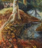 Jelzés nélkül: Erdei jelenet. Olaj, vászon. Sérült. Fakeretben. 80x100 cm. KIZÁRÓLAG SZEMÉLYES ÁTVÉT...
