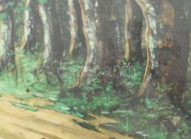 Nyáregyházi báró Nyáry Pál (?-?): Erdörészlet. Akvarell, papír. Jelezve jobbra lent. Üvegezett, sérü...