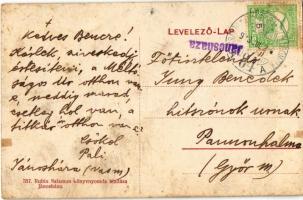 1913 Jánosháza, uszoda, Gróf Erdődi Sándor kastély. Rubin Salamon kiadása (fl) + "CSÁKTORNYA-DO...