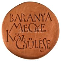 1991. &quot;Baranya Megye pecsétje - 1694 - 1838 - 1991 / Baranya Megye Közgyűlése&quot; egyoldalas bronz emlékérem, hátoldalon vésve, Asszonyi Tamás által tervezett bőr dísztokban (~55-56mm) T:AU