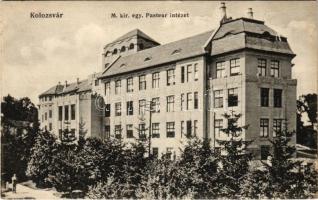 Kolozsvár, Cluj, Klausenburg; M. kir. egy. Pasteur intézet. Schuster Emil kiadása / Institutul Pasteur / institute (EK)