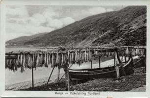 Nordland fishing