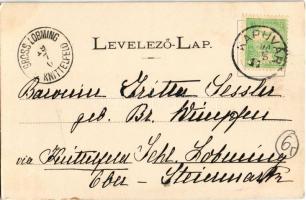 1900 Kapuvár, Esterházy-kastély (EB)