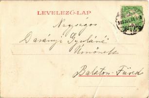 1909 Budapest XIV. Sipeki Balás Villa. Hermina út 35c. (ma Hermina út 47.) Lechner Ödön tervezte (fa...