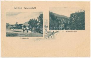 1908 Kovászna, Covasna; Erzsébet út, Sziklás részlet. Bogdán F. fényképész / street view, rocky hill. Floral (fl)