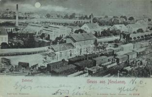 Debno (Neudamm) railway station