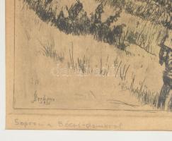 Sterbenz Károly (1901-1993): Sopron a bécsi dombról. Rézkarc, papír, jelzett, üvegezett fakeretben. ...