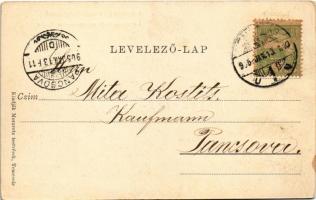 1905 Temesvár, Timisoara; Losonczy tér, Szerb templom, piac, Rech János üzlete. Moravetz Testvérek k...