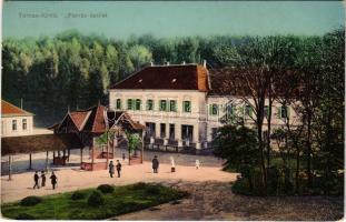 1912 Tarcsafürdő, Bad Tatzmannsdorf; Forrás-épület / Hotel / spa