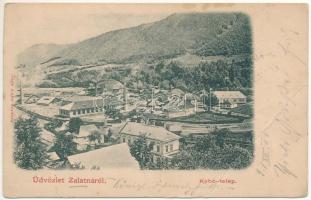 1902 Zalatna, Zlatna; Kohó telep. Nagy Lajos kiadása / mine, forge plant (fa)