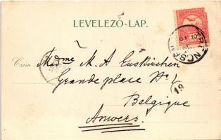 1900 Rajecfürdő, Rajecké Teplice; Gambrinus villa. Gansel Lipót kiadása / villa (EK)