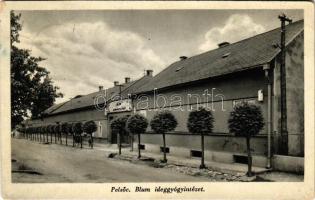 1939 Pelsőc, Plesivec; Blum ideggyógyintézet. Hangya szövetkezet kiadása / mental institution, psychiatric hospital (fl)