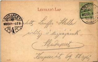 1902 Trencsén, Trencín; vár és vasút. Gansel Lipót 249. / castle ruins, railway track. Art Nouveau, ...