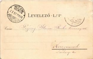 1899 (Vorläufer) Csízfürdő, Kúpele Ciz; Meskó-féle Mária lak, Margit nyaraló. Fogel Mór, Márkus D. /...