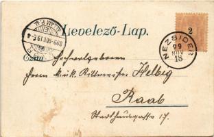 1899 (Vorläufer) Nezsider, Neusiedl am See; utca / Strasse / street. Art Nouveau, floral (EB)