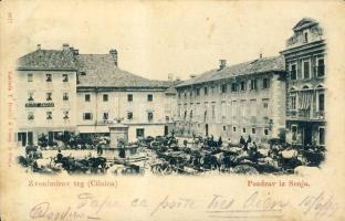 Zengg Zvonimir sq. Clinic