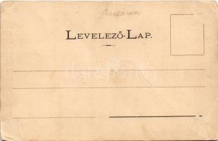 Kolozsvár, Cluj; Pénzügyi és erdészeti paloták, Emke palota, Unitárius Kollégium és templom, Külmagy...