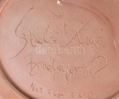 Szabó Kinga: Dísztányér halat fogó madárral. Jelzett, kis kopással, d: 37 cm KIZÁRÓLAG SZEMÉLYES ÁTV...