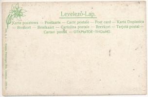 Vázsec, Liptóvázsec, Liptó-Vázsecz, Vágfalva, Vazec (Liptó); Fő út vendéglővel. Feitzinger Ede 668. ...