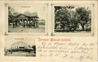 1903 Bikszádfürdő, Baile Bicsad, Bixad; Források, vendéglő, park részlet / springs, restaurant, park. Art Nouveau (EK)