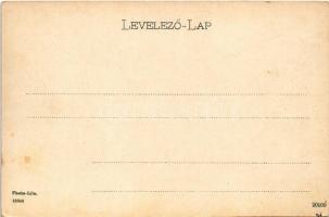 Rajecfürdő, Rajecké Teplice; Dr. Flamm villa, csónakázók. művészlap / "My Castle" Dr. Flam...