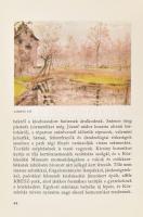 Pereházy Károly: A városliget. Diósy Antal akvarelljeivel. Bp., 1978, Képzőművészeti Alap. Fekete-fe...