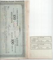 Buda 1873. "Buda-Ó-Budai Népbank" részjegye 100Ft-ról szelvényekkel, bélyeggel, bélyegzése...