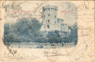 1902 Erdőd, Károlyierdőd, Ardud (Szatmár); Erdődi vár, Rákóczi vár, Petőfi torony / Cetatea Ardud (Castelul Károlyi) / castle, tower (EK)