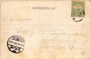 1902 Erdőd, Károlyierdőd, Ardud (Szatmár); Erdődi vár, Rákóczi vár, Petőfi torony / Cetatea Ardud (C...