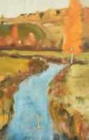 Jelzés nélkül: Őszi táj. Olaj, vászon. Kissé sérült. 55×46 cm