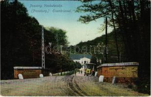 Pozsony, Pressburg, Bratislava; Vaskutacska, Ferdinánd király vasfürdő, korai trolibusz / Eisenbrünnel (Eisenbründl) / Zelezná Studénka / spa with early trolleybus