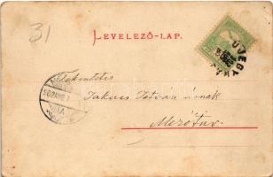 1902 Újegyház, Leschkirch, Nocrich; Községháza. Hermann Römer kiadása / Gemeindehaus / town hall (EK...