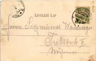 1904 Pozsony, Pressburg, Bratislava; Hal tér, zsinagóga, vár, üzletek. Divald Károly 501. sz. / Fisc...