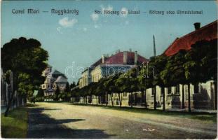 Nagykároly, Carei; Kölcsey utca, gimnázium / street, school (EK)