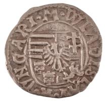 1498-1503. Denár Ag "II. Ulászló" (0,58g) T:AU,XF Hungary 1498-1503. Denar Ag "Wladis...