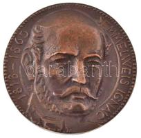 Nagy István János (1938-) &quot;Semmelweis Ignác 1818-1865 / Pro Salvte Hominvm&quot; kétoldalas, öntött bronz plakett (84mm) T:AU,XF